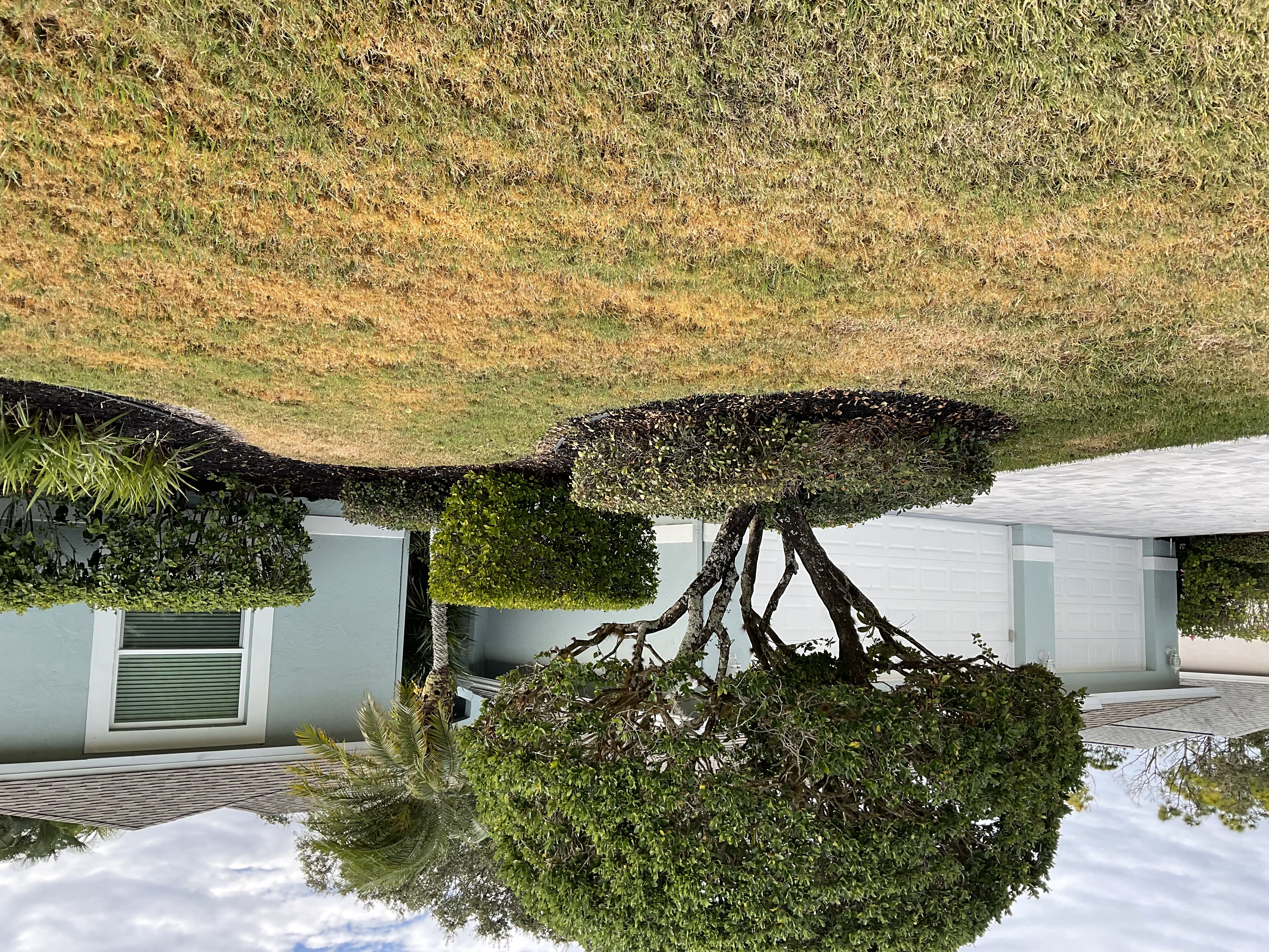 Listing# 163 Property Photo